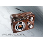 Platoon PuXing PX-255LED USB/SD/MP3 Şarlı Fenerli Radyo