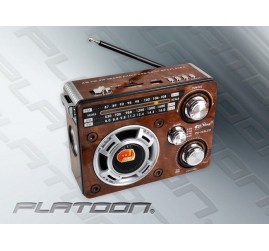 Platoon PuXing PX-255LED USB/SD/MP3 Şarlı Fenerli Radyo