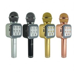 WSIER WS-1818 KARAOKE MİKRAFON