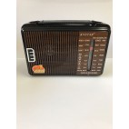 EMRTECH EMR-608 RADİO