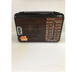 EMRTECH EMR-608 RADİO