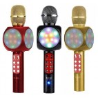 WSTER WS-1816 KARAOKE MİKRAFON