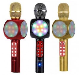 WSTER WS-1816 KARAOKE MİKRAFON