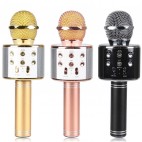 WSTER WS-858 KARAOKE MİKRAFON