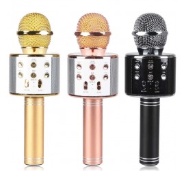 WSTER WS-858 KARAOKE MİKRAFON