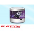 PLATOON PL-4314 USB/SD BLUETHOOT SPEAKER