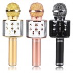 POLYGOLD PG-116 KARAOKE MİKRAFON