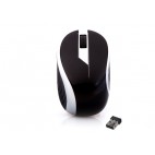Everest sm-47B Usb Siyah Kablosuz Mouse