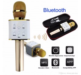 POLYGOLD PG-115 KARAOKE MİKRAFON